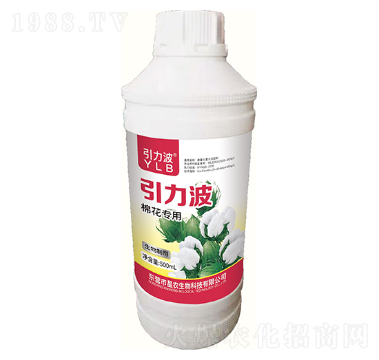 �޻���(zhu��n)��-������-���r(n��ng)����