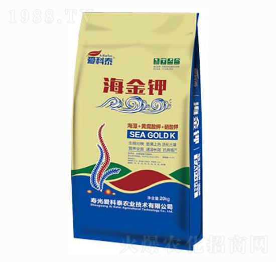 �����-��(��i)��̩