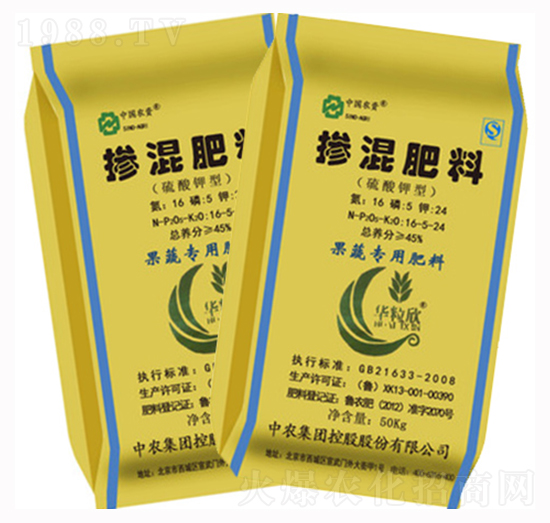 �������-�|����