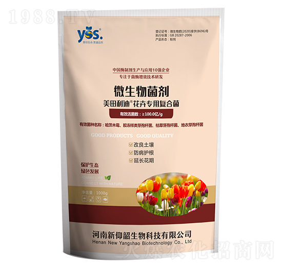 ���܌��Ï�(f��)�Ͼ�-��������-������