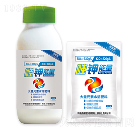 �������-�����Z����