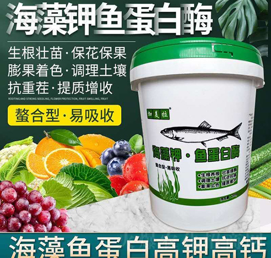 ������~(y��)����ø-������