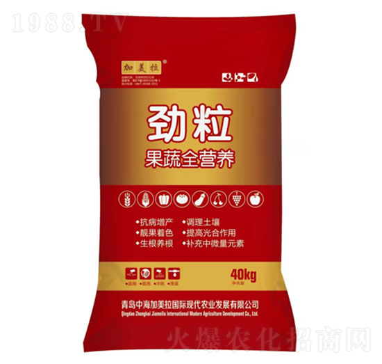 �����w����-������