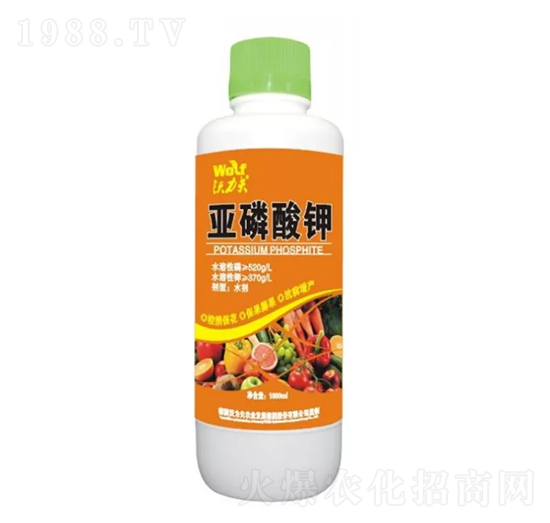 �������-������