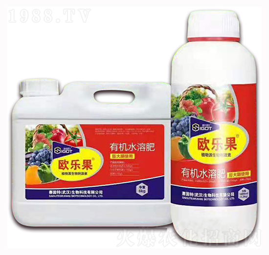 С���������ÚW��(l��)��-ِ����