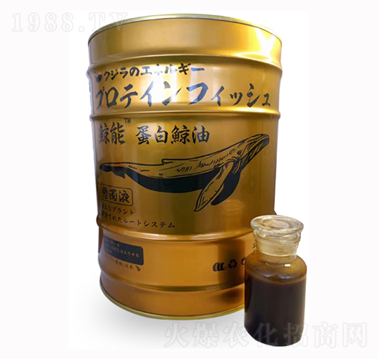 �L��ø���~����-���r�A��