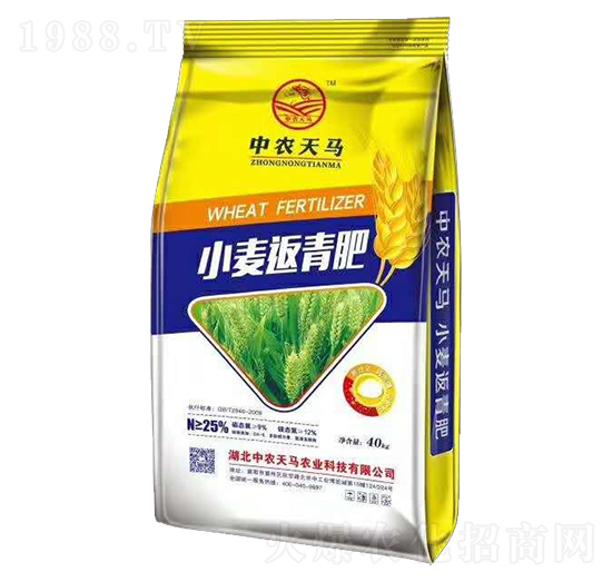 С�������-���r(n��ng)���R