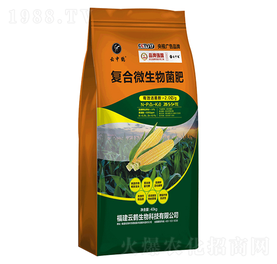 ��(f��)��΢�������28-5-5+TE-�����Q-���Q����