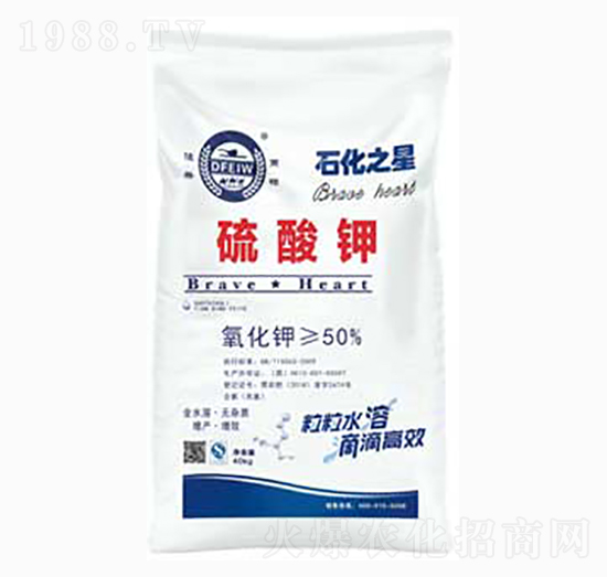 �����-ʯ��֮��-�춦