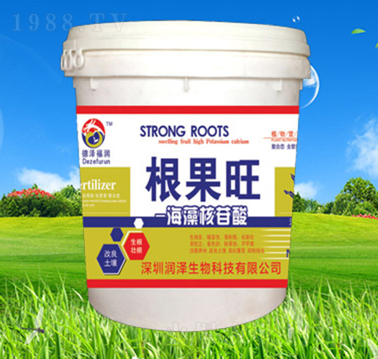 ���������-������-��(r��n)������