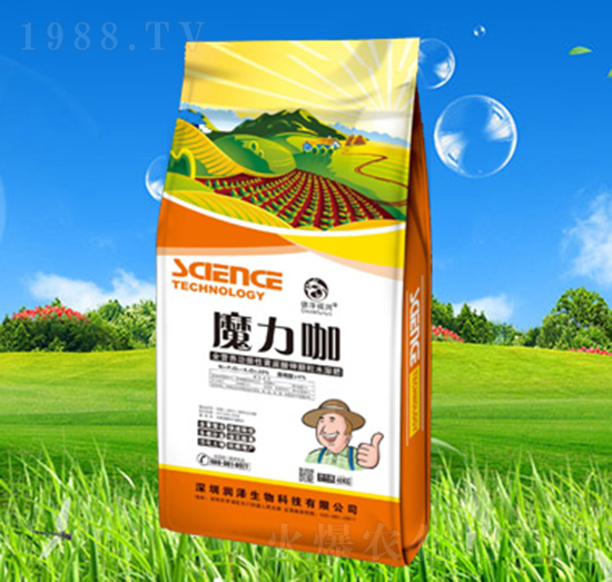 ħ����-��������