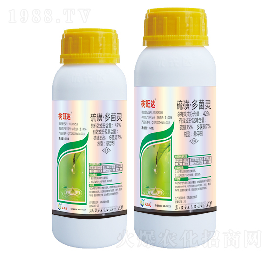 42%��ǡ�����`-�����_(d��)-��(y��u)���_(d��)