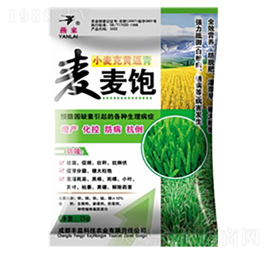 С�����S����-�����-�S��