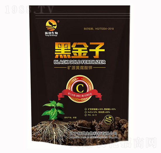 �VԴ�S�����-�ڽ���-�P������