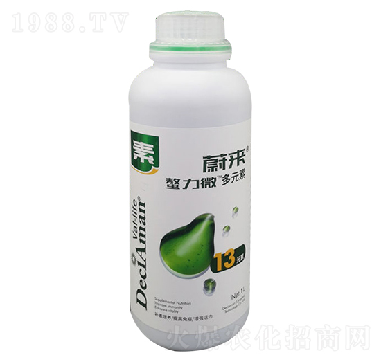 ��������13Ԫ��-ε��-�����P�r(n��ng)