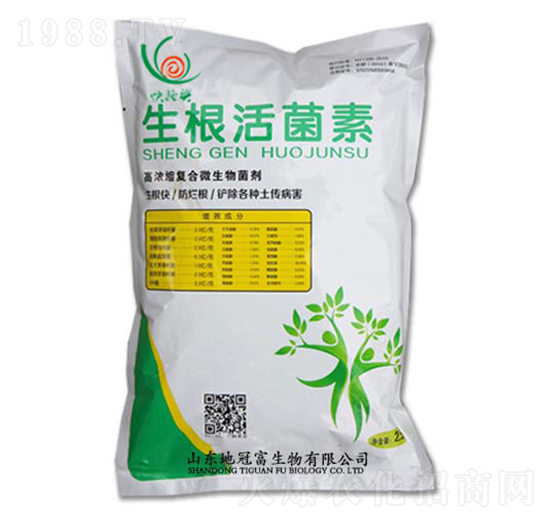 ���������-�عڸ�