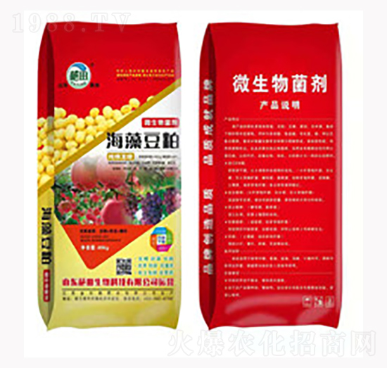 ΢�������-���嶹��-��������