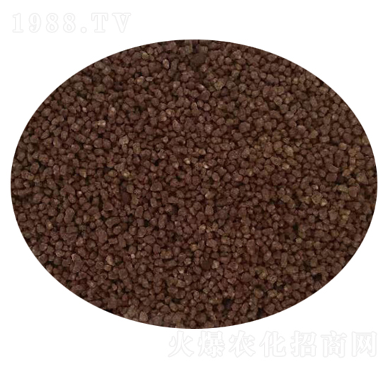 �D����-�����o(j��)�ʘI(y��)