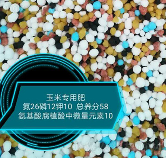 ���׌��ð����ḯֲ����΢��Ԫ��26-12-10-���r�r�I(y��)