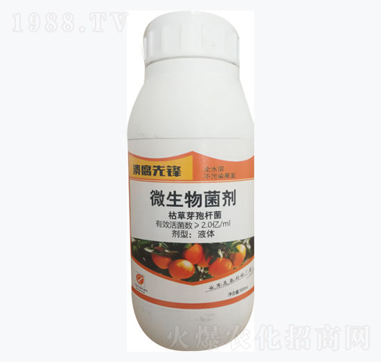 500ml΢�������-�������h-�������