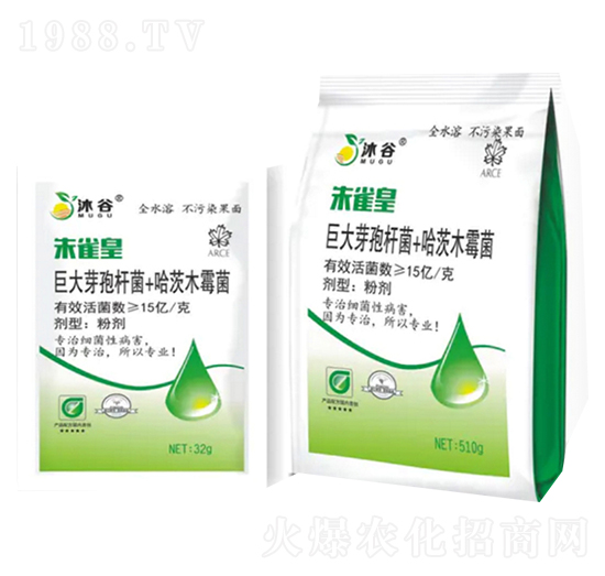 �޴�ѿ�ߗU��+����ľù��-��ȸ��-�������