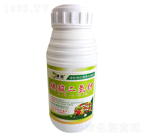 ��������-�������