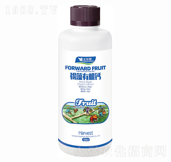 �����ЙC�}-�S�A��-�S�A�ʘI(y��)