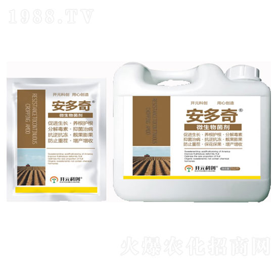 ������-����ֲ��