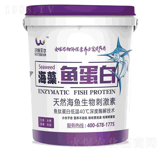 ��Ȼ���~����̼���-�����~����-����ؐ��-���r(n��ng)�|��