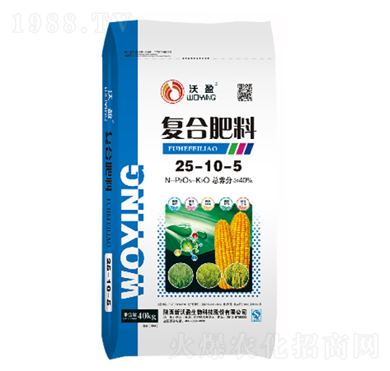 �ͺϷ���25-10-5--��ӯ����