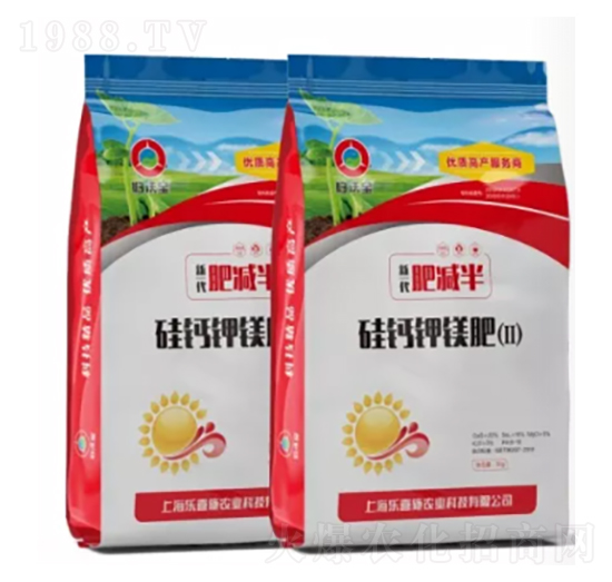 ���}��V��-��ϲʩ�r�I(y��)