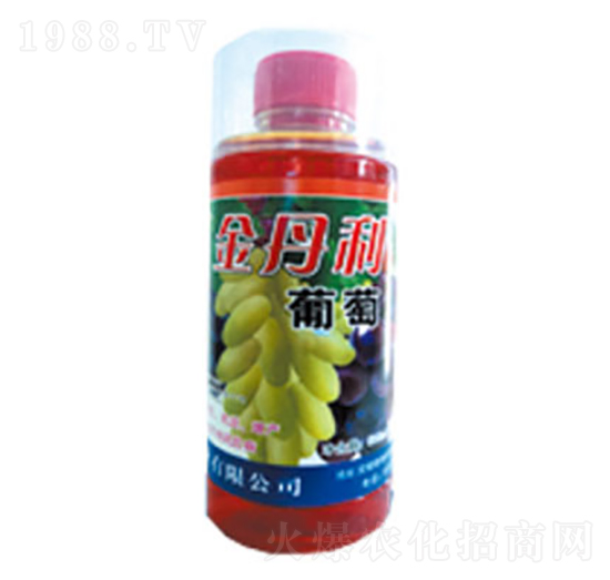 ���ь�(zhu��n)���~���-����-�|���t