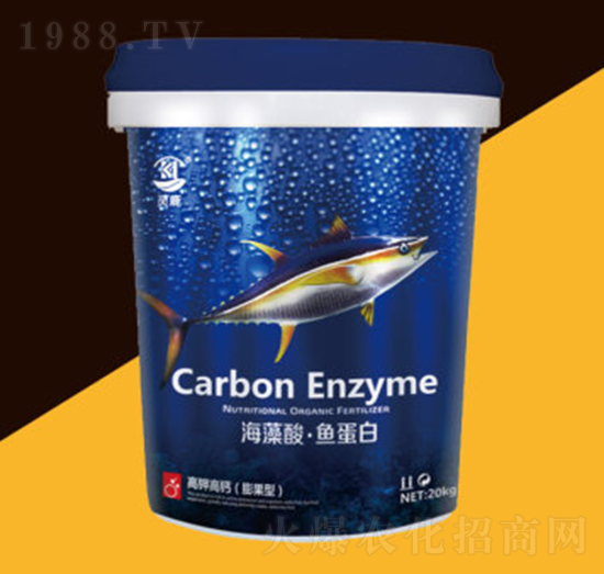 �����ᡤ�~����-�P������