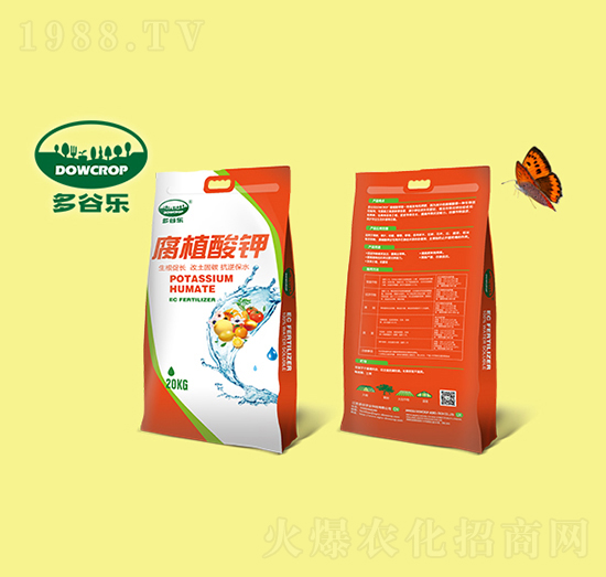 �ߺ�����ֲ��⛷�ĩ-��Ș�