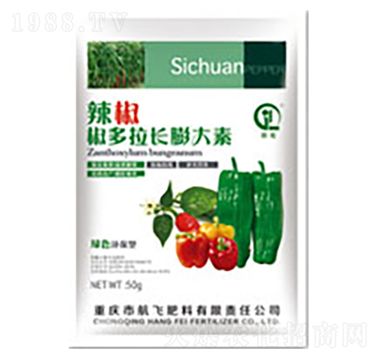 �����������L�����-���л���