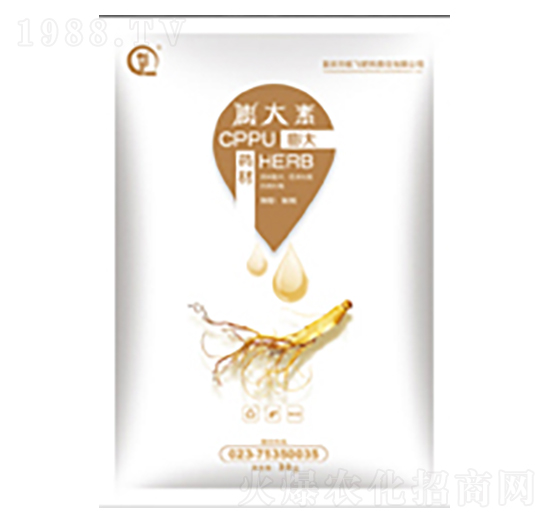 ˎ�������-���л���