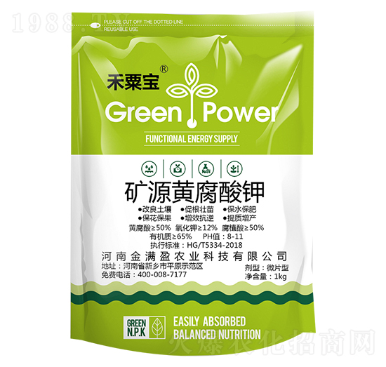 �VԴ�S�����-���ڌ�-��Mӯ�r�I(y��)