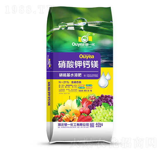 21%������}�V��-��һ����