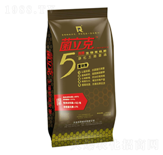 �����ЙC��-������-��s�ʘI(y��)