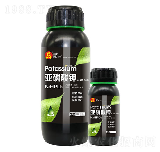 �������-�T���S����