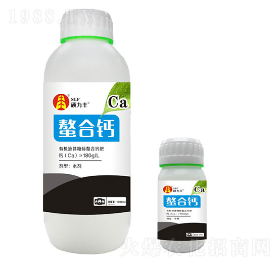 �����}��-�T���S����