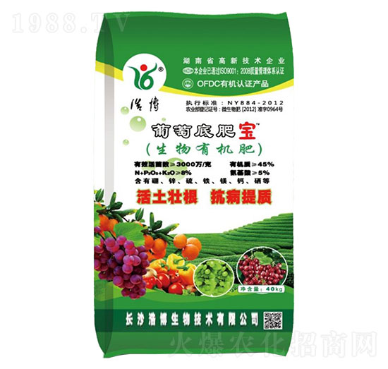 ���ѵ׷ʌ�-�Ʋ�����