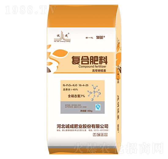 ����������ͺϷ���-����-�\�ɷʘI(y��)