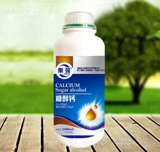 �Ǵ��}-�\�����Q(m��o)��