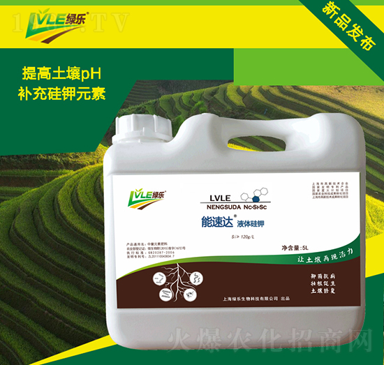 Һ�w���-�����_-�G������