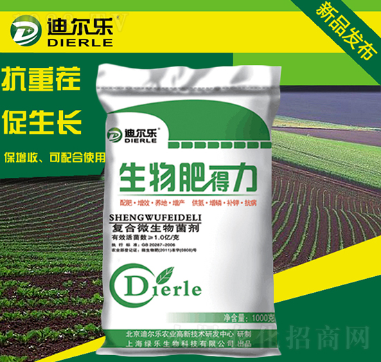 ����ʵ���-�Ϡ���-�G������