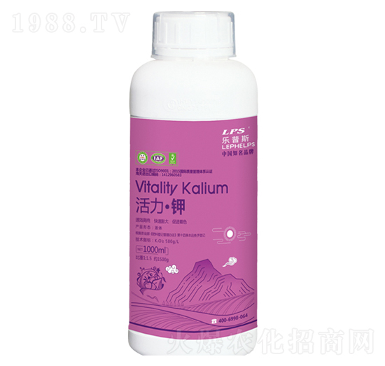 �������-�Θ�(l��)�r(n��ng)�I(y��)