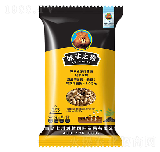 �������طN��-�W��֮��-���ݳ���