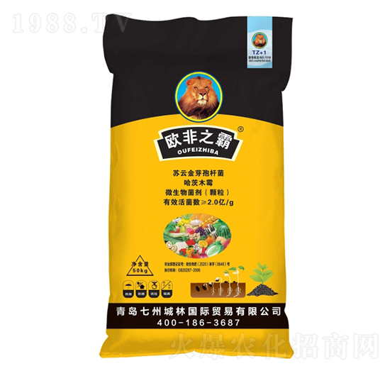 �����طN��-�W��֮��-���ݳ���