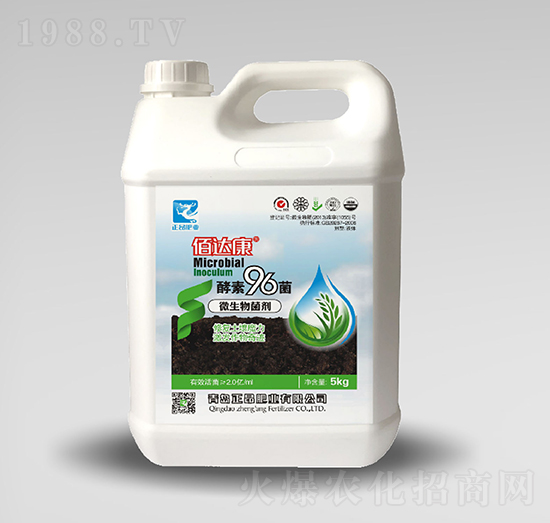 ����96��-���_��-�����ʘI(y��)